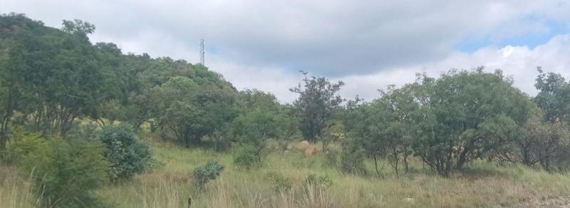 0 Bedroom Property for Sale in Elandsrand North West